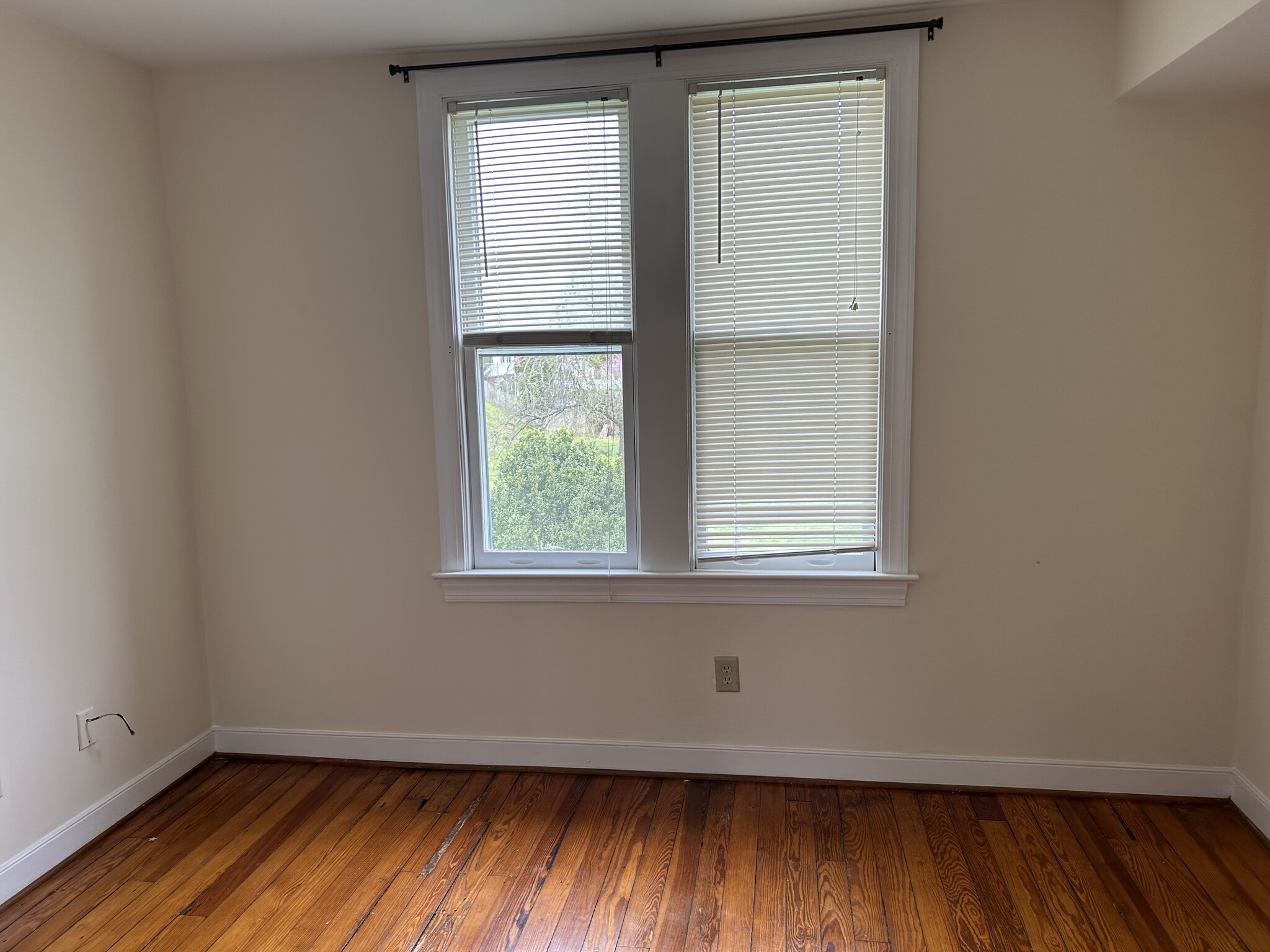 Back bedroom - 505 Hawke St