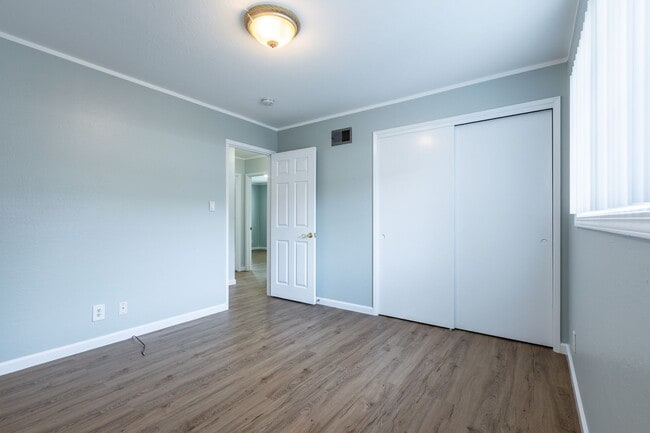 Building Photo - Beautiful & bright 3 bed / 2 Bath San Brun...