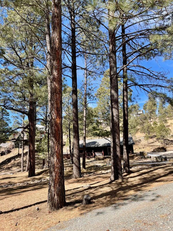 Building Photo - 213 White Mountain Meadows Dr