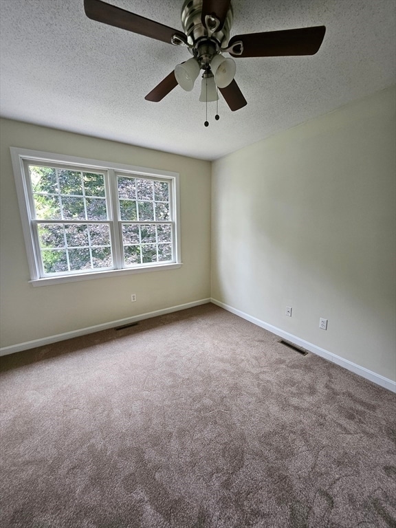 Building Photo - 61 Lawe St