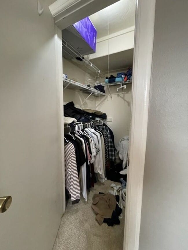 Building Photo - R1016 University Heights