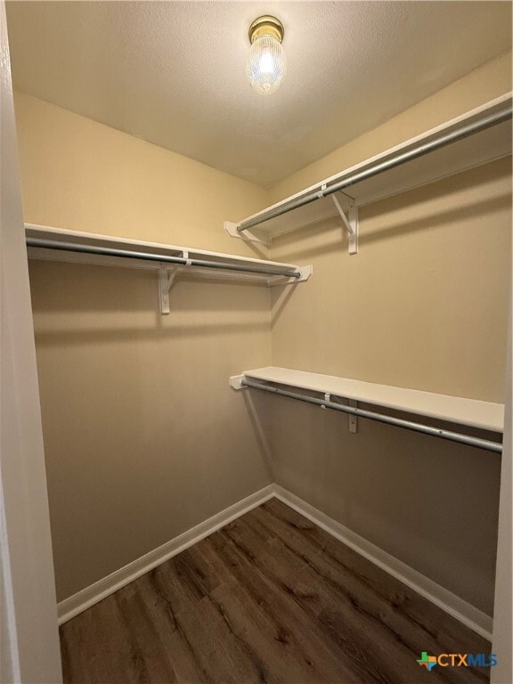 Building Photo - 1645 Kimberly Dawn Dr