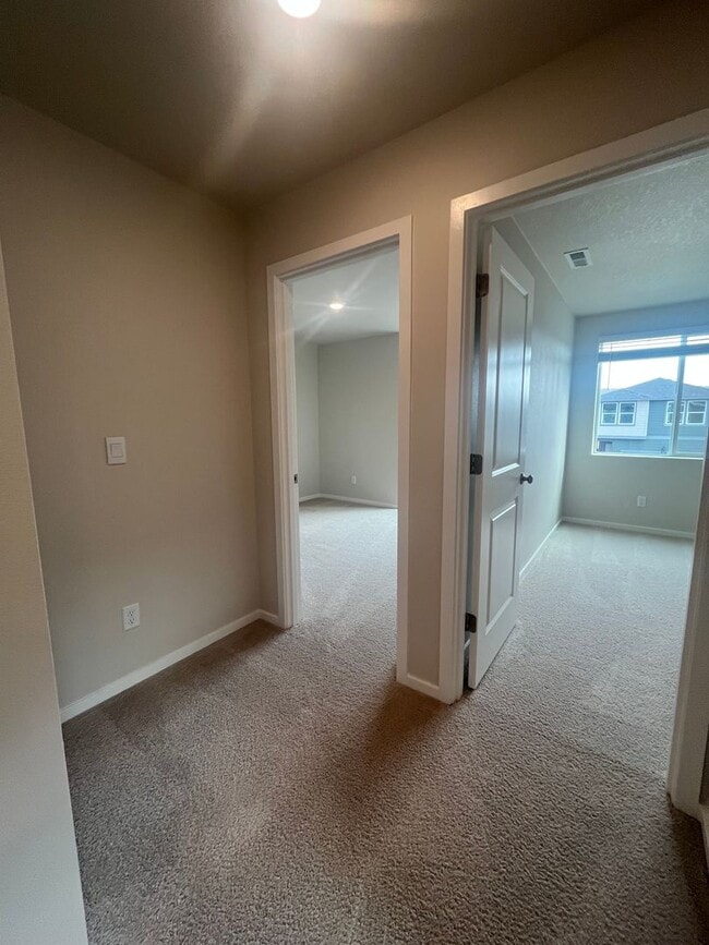 Building Photo - Brand New Home! 4- Bedroom 2 1/2- Bathroom