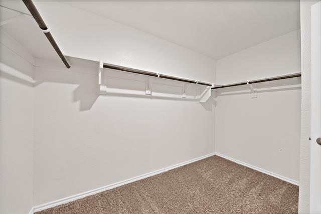 Building Photo - 1311 Emi Kate Ln
