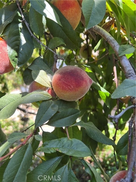 Building Photo - 18 Paseo Canos