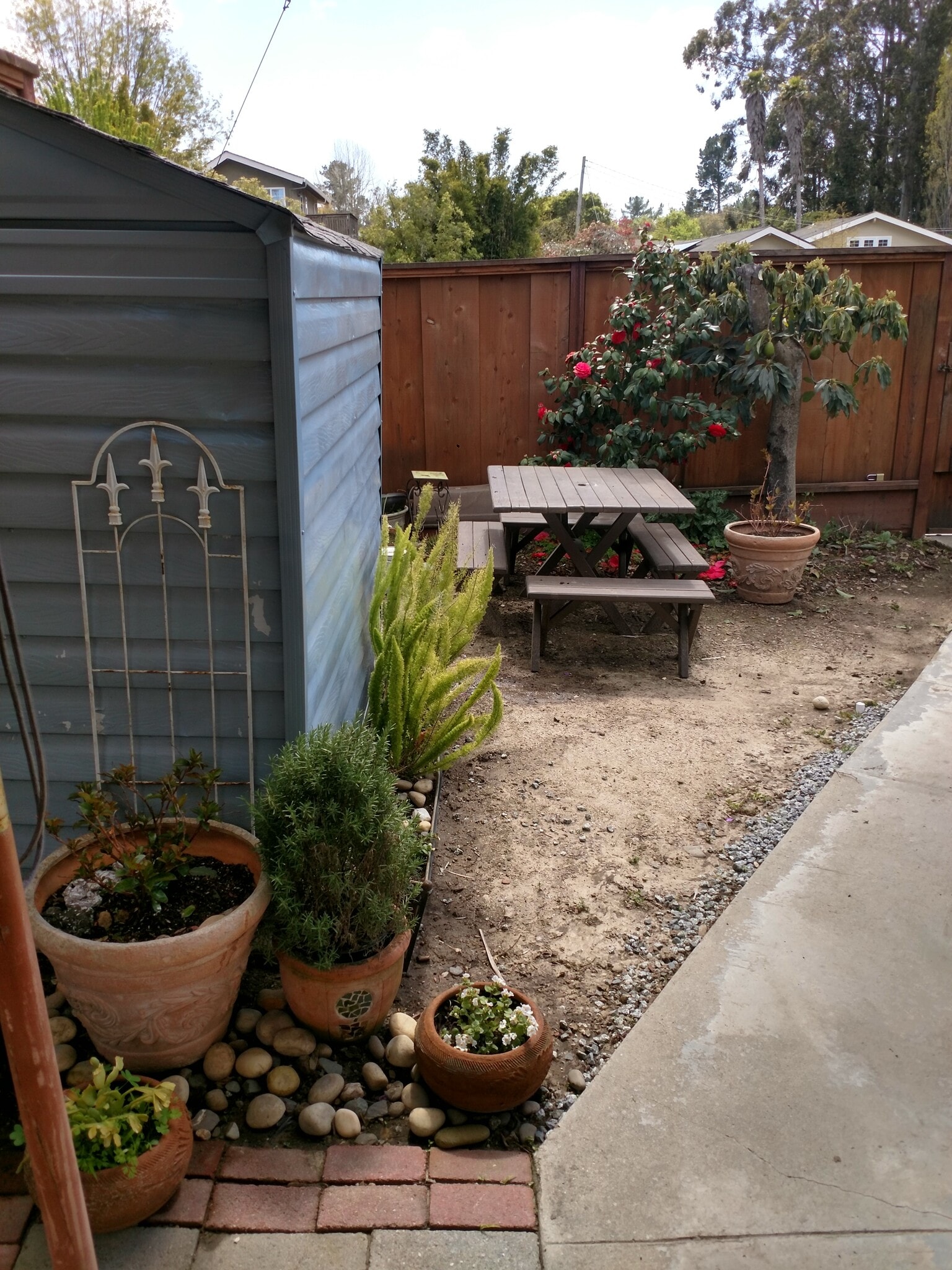 south private yard - 196 Alturas Way