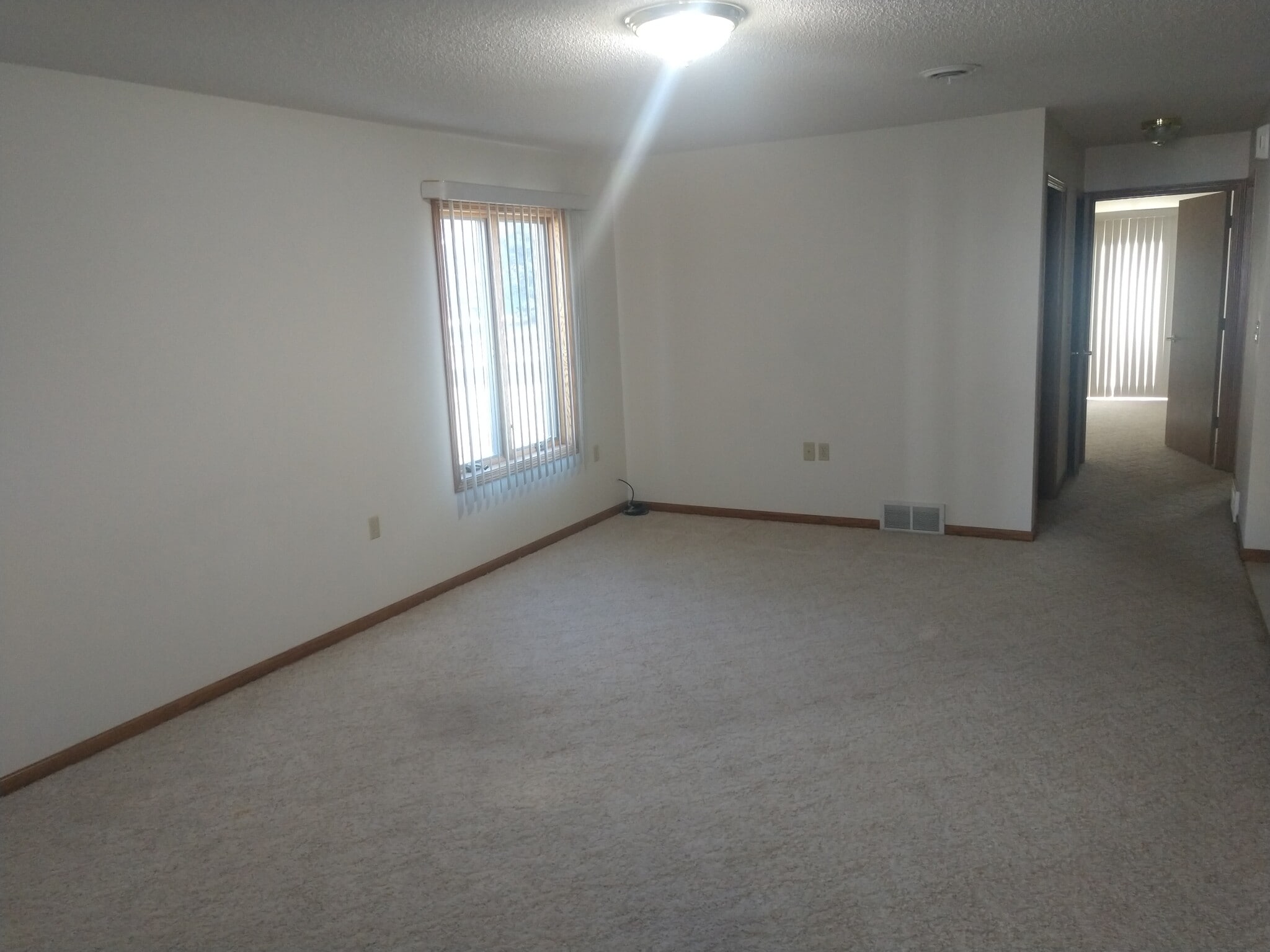 LIVING ROOM - 401 E Drake St