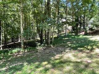 Side yard - 4065 Charlottes Overlook