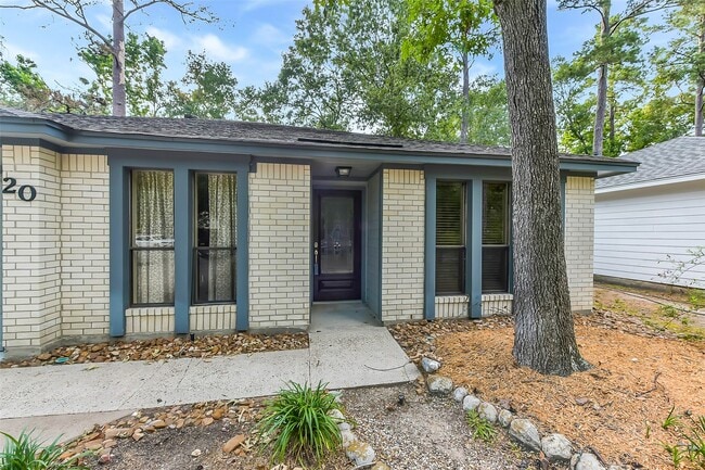 Building Photo - 20 Tulip Hill Ct