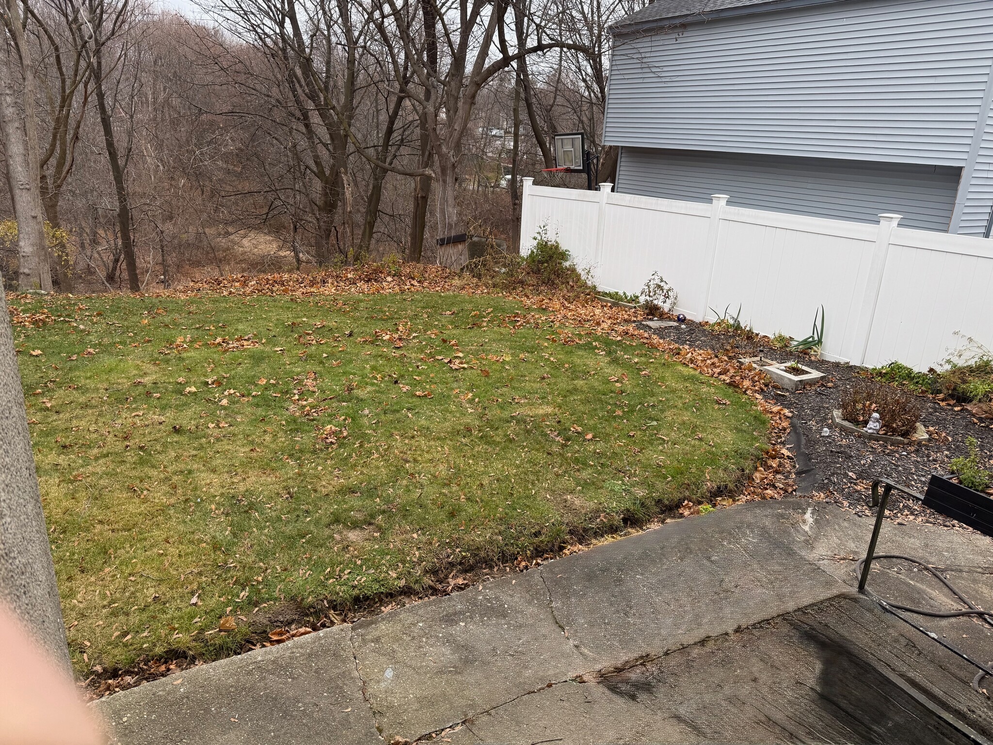 Back yard - 136 West St