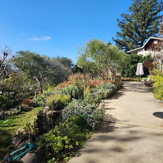 Building Photo - Timeless 4 Bedroom in West Montclair