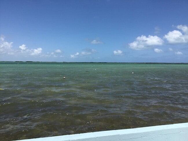 Building Photo - Move in Special! $500 off the First Months Rent!