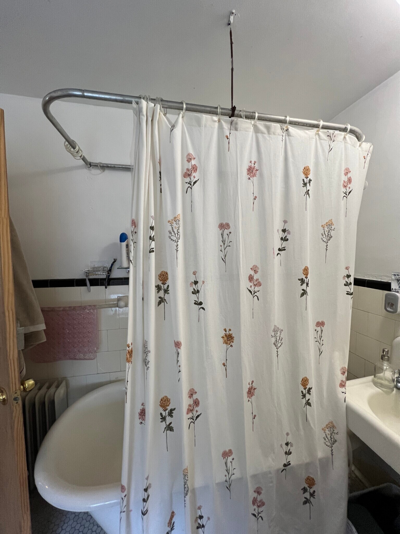 Building Photo - 7 Craigie Terrace