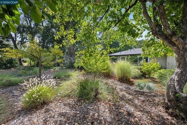 Building Photo - 783 Los Palos Manor