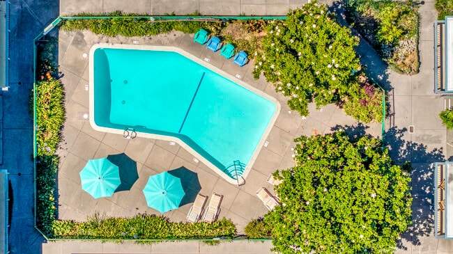 Building Photo - Nova at Terra Linda