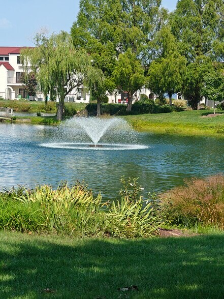 The fountain out back. - 41A Queen Catherine Ct