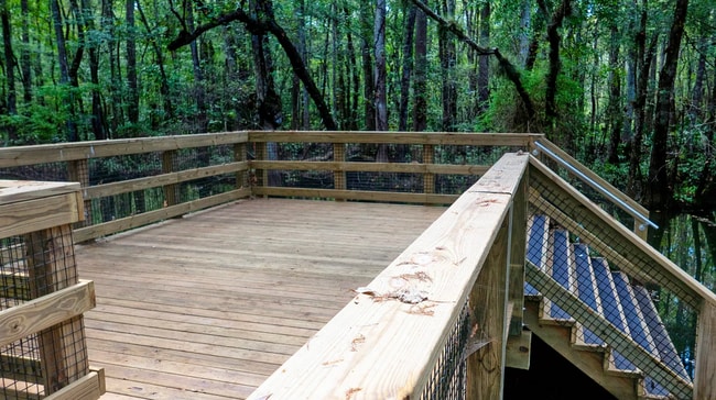 Building Photo - Brand-New Home in The Landing at St. Augustine