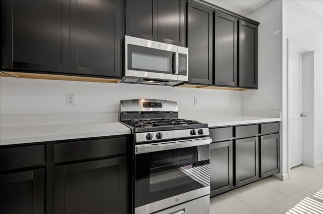 Building Photo - Beautiful New Home in Black Mountain Planned Community