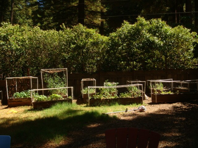 Vegetable Garden - 1841 Pool Rd