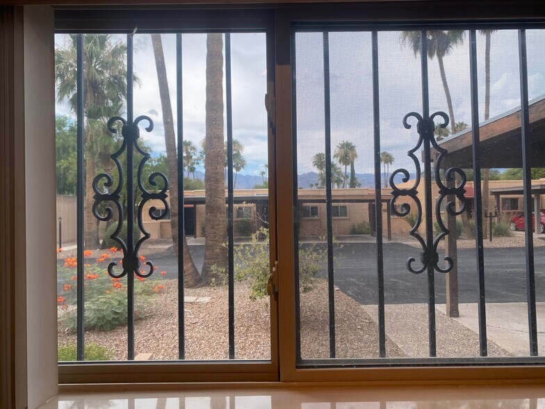 security iron on all windows and doors - 7856 E Linden Pl