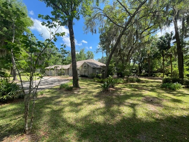 Building Photo - Shenandoah