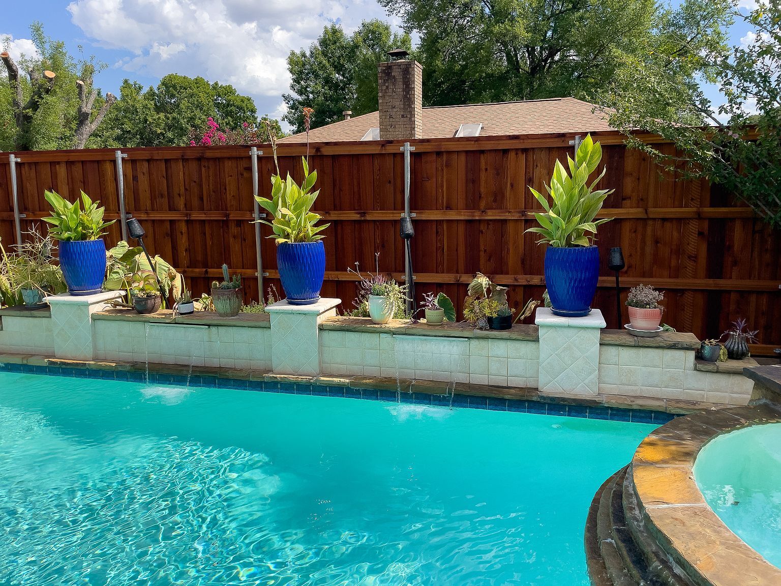 In-ground pool with blue accent planters and lush landscaping - 2006 Candle Ct