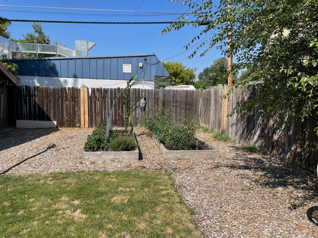 Backyard - 114 NW Delaware Ave