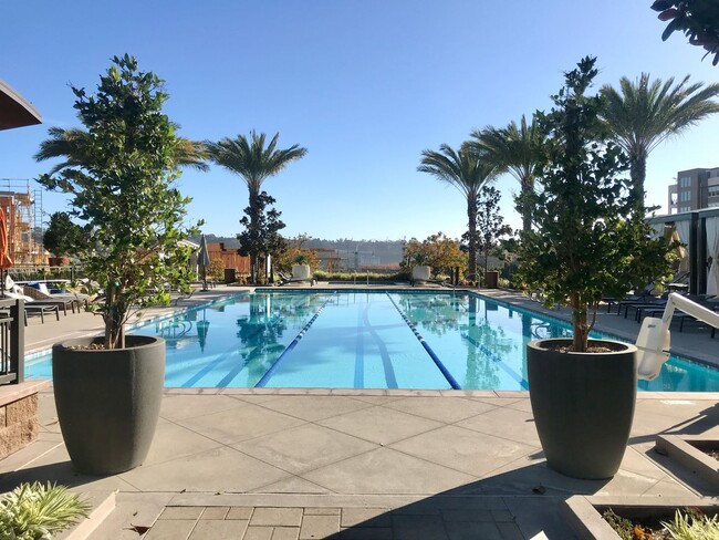 Building Photo - Brand New Townhome Overlooking Mission Valley