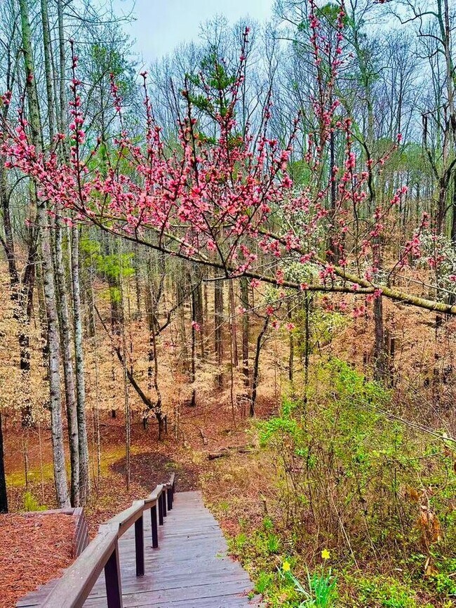 Building Photo - 12872 Waterside Dr