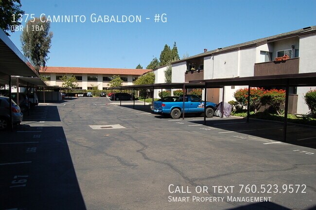 Building Photo - 1375 Caminito Gabaldon