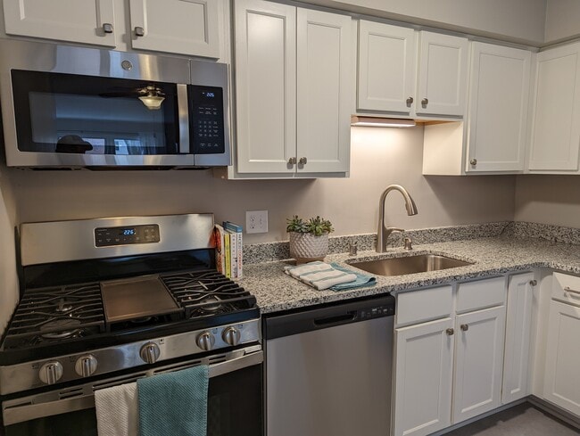 Remodeled kitchen - Idaho Park East