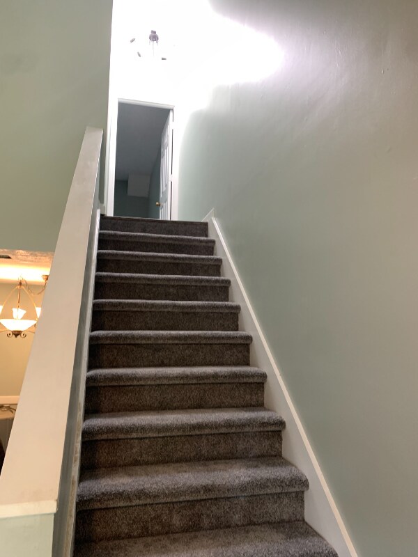 Building Photo - 556 Wedgewood Dr