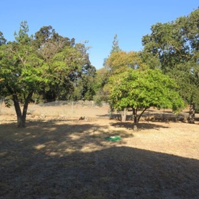 Building Photo - Ranch Style Home