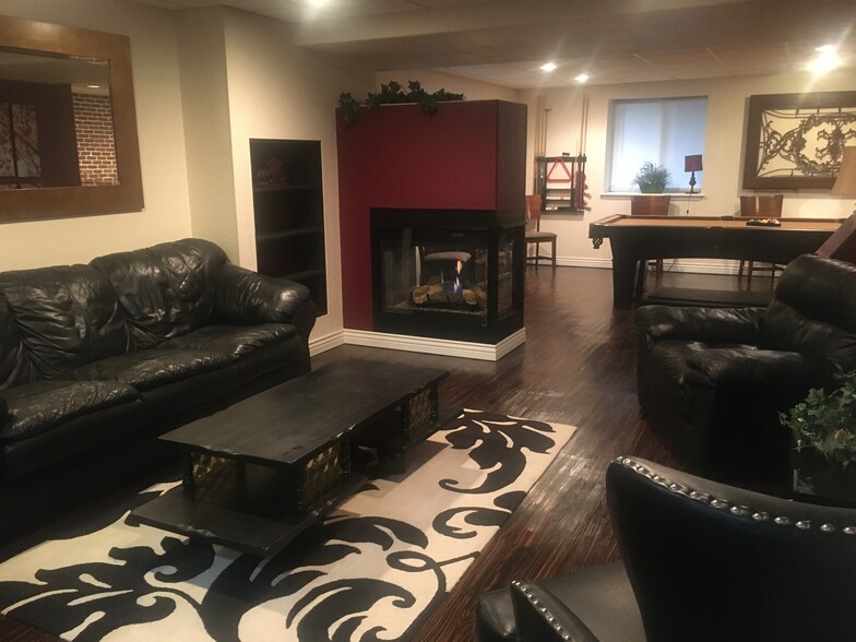 Gas Fireplace and Sofa Sleeper - 10831 Hickory Ridge Ln