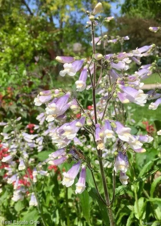 Building Photo - 5837 Folkstone Dr