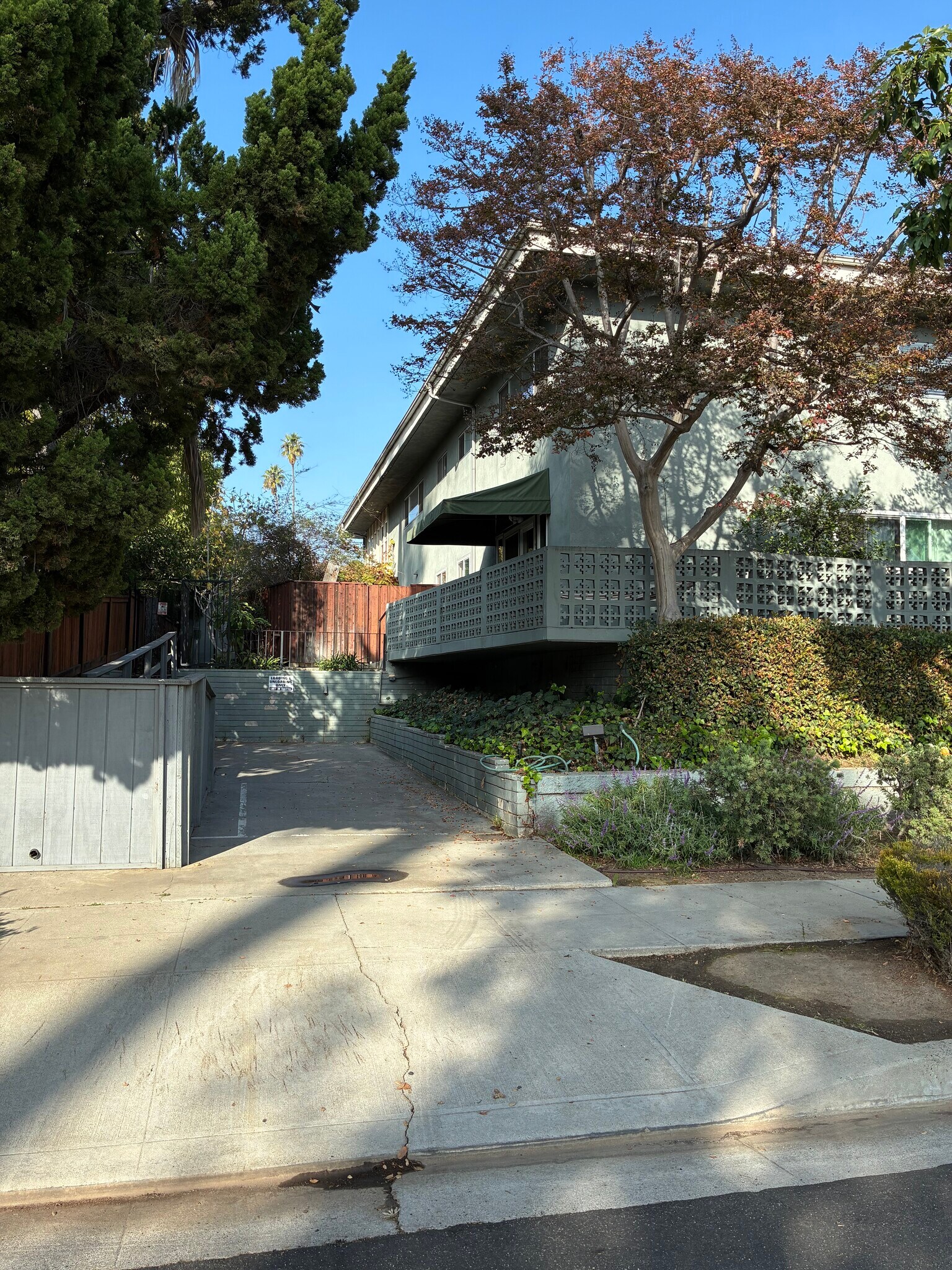 Loading & Unloading driveway - 1520 Spruce St