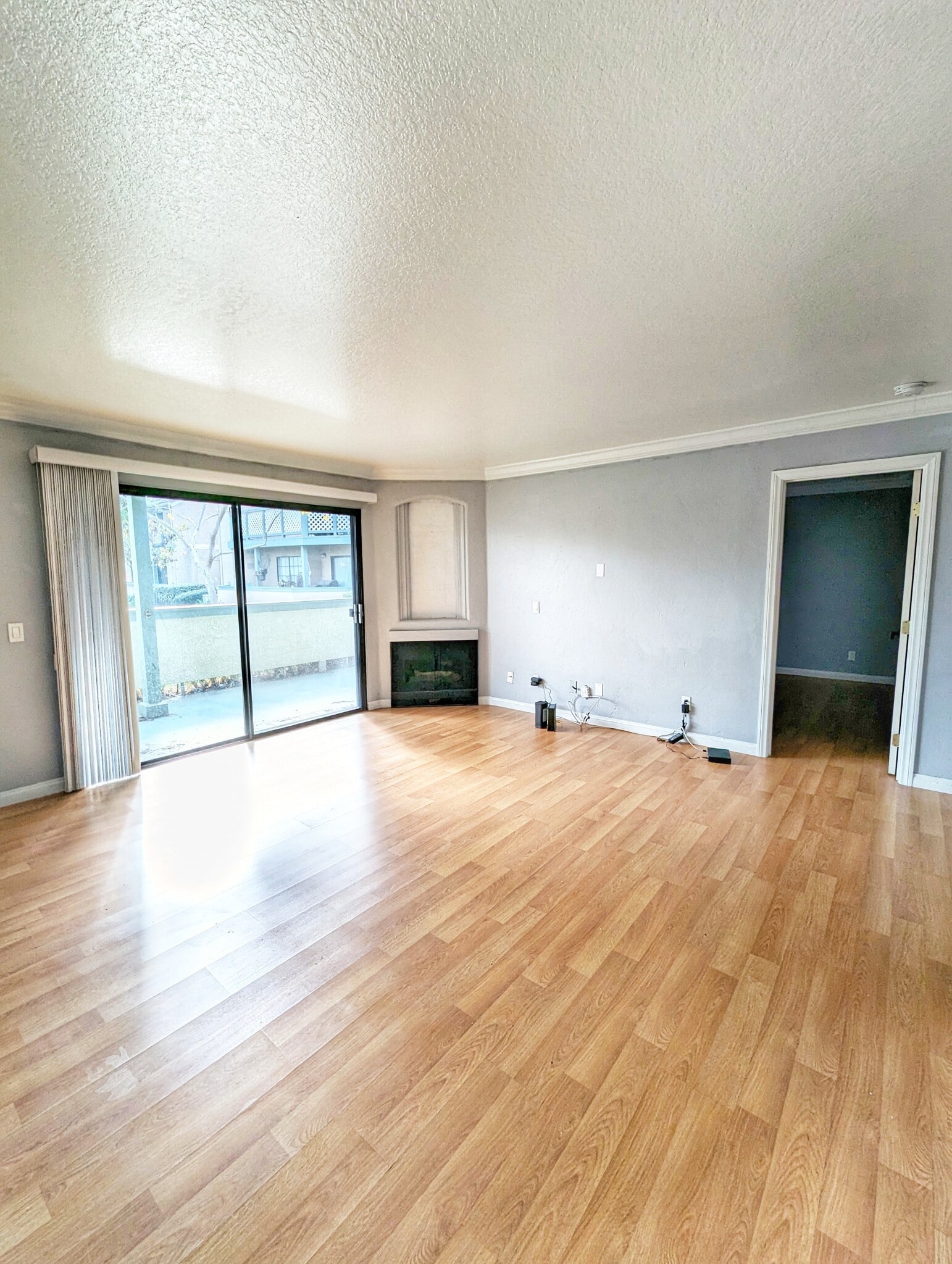 Living room - 3510 W Sweetbay Ct