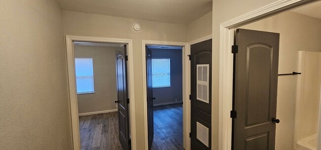 Building Photo - Renovated 2 Bedroom Apartment on Lake Treeline