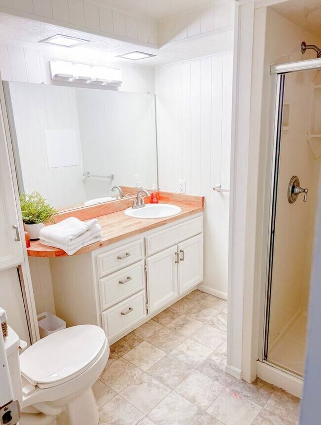 Building Photo - Modern 4 bed/2 bath with Mountain Views and a Fenced Backyard