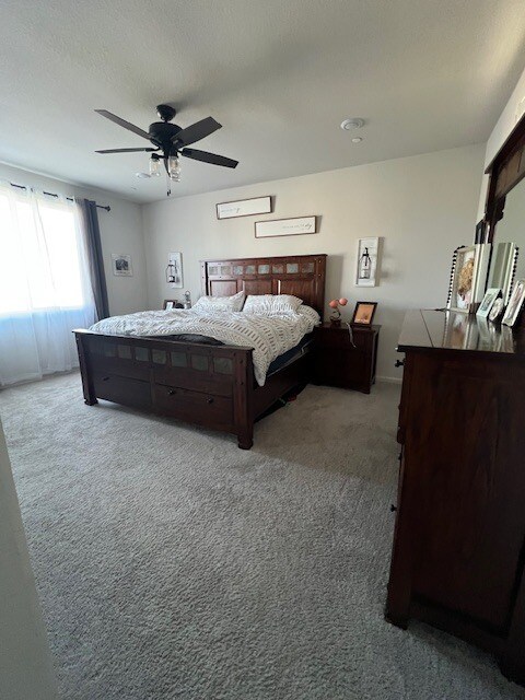 Building Photo - 790 Berryessa Way