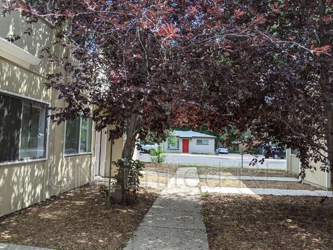 Building Photo - 321 N Park St