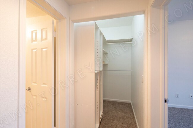 Building Photo - 1BR in Pacific Beach with Unique Concrete ...