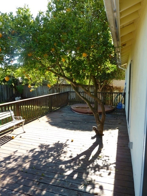 Building Photo - 380 Santa Barbara Shores Dr