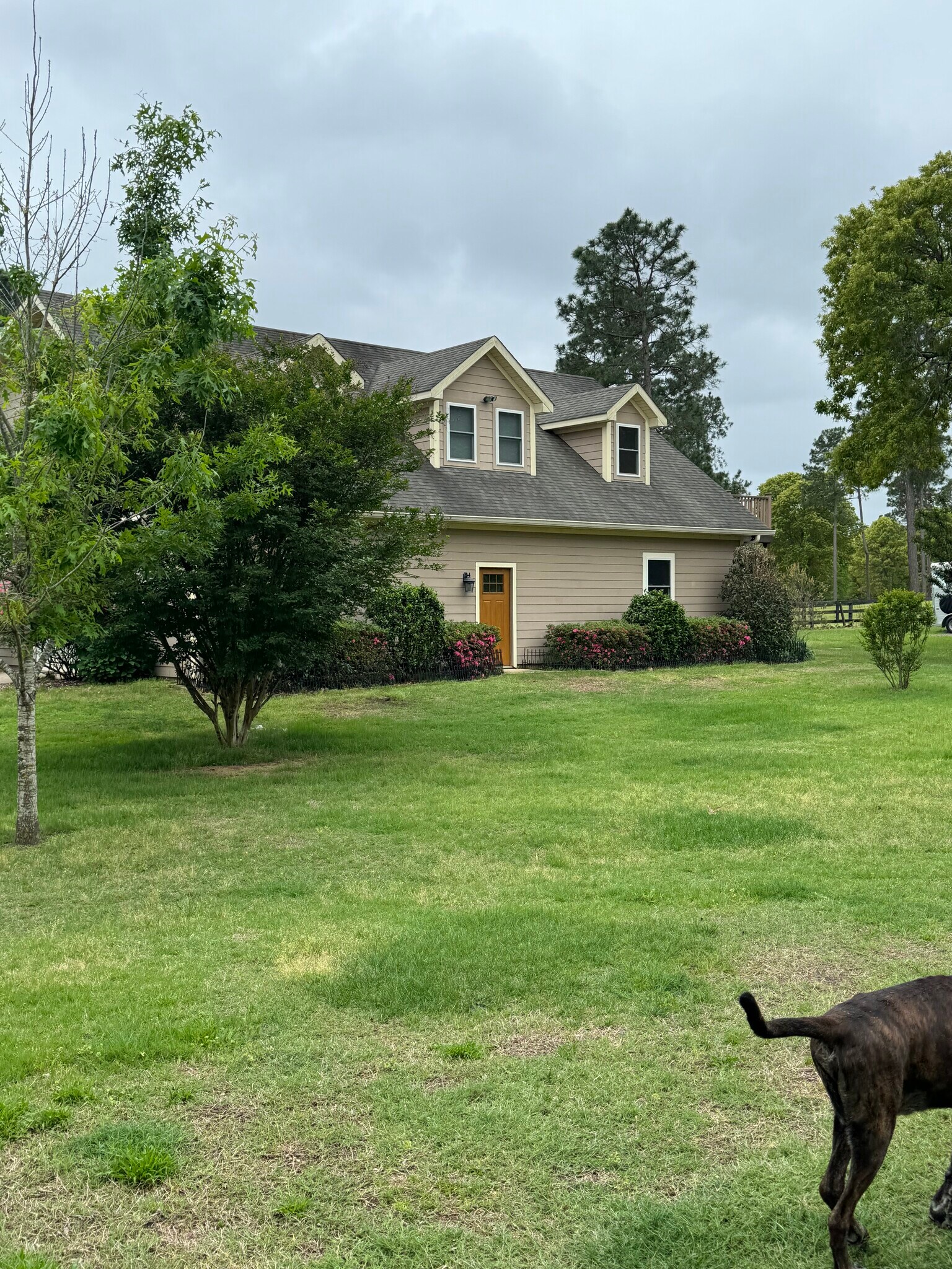 Front of residence - 970 Shell Bluff Dr