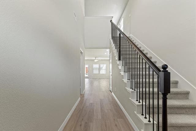 Building Photo - 1244 Bellflower Rd