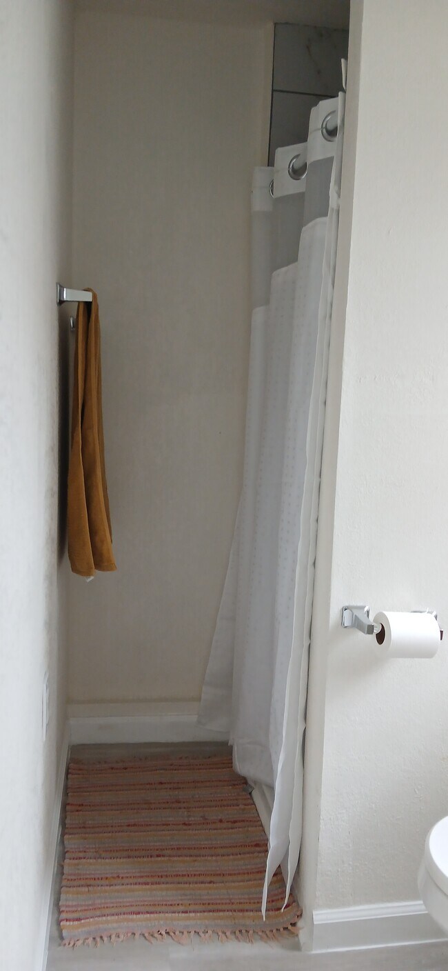 Shower - 1184 Wesley Ave