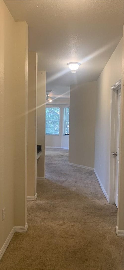 Building Photo - 4/2/2 Beautiful Condo