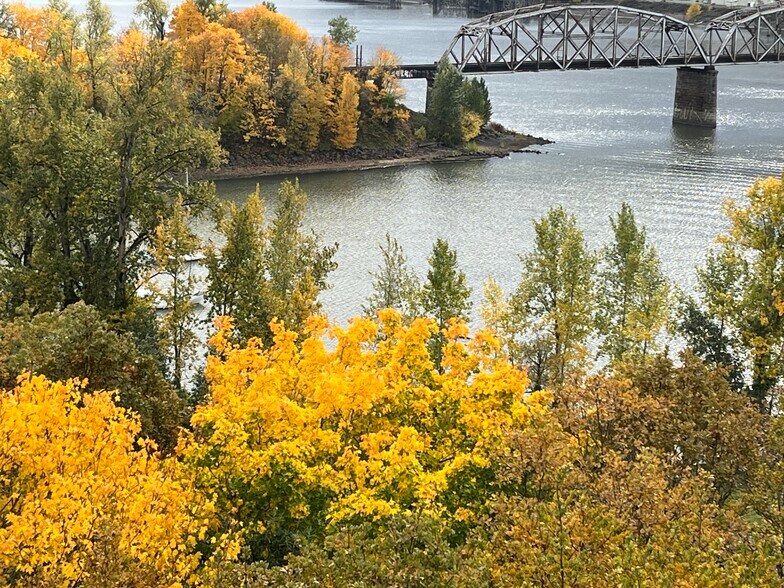 Fall color around Willamette Cove, which lies directly below the condo. - 7511 N Edgewater Ave