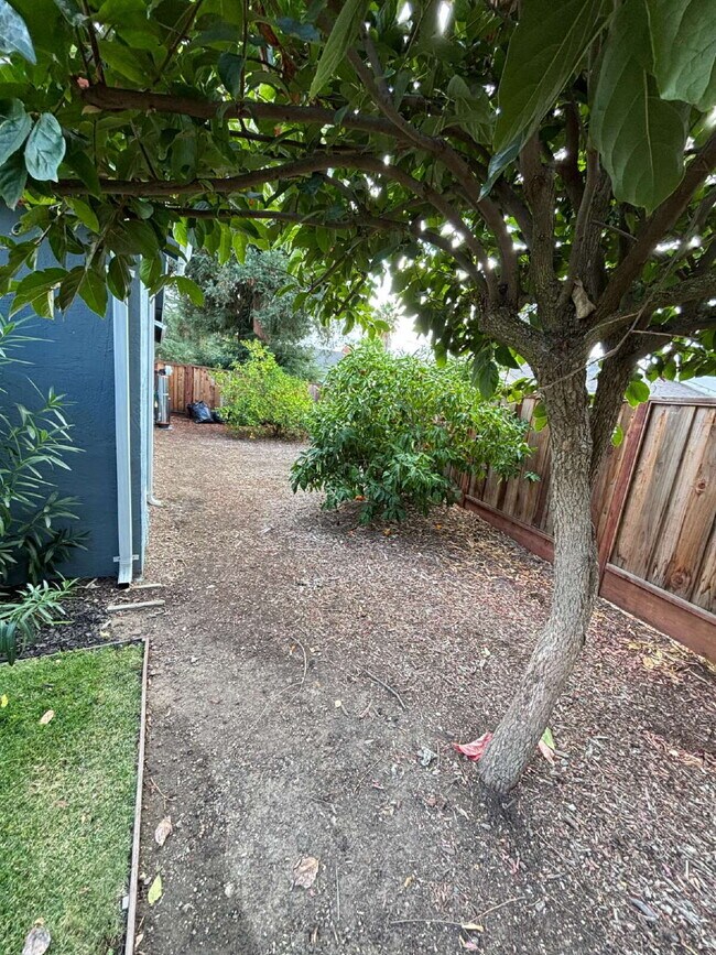 Building Photo - "Beautifully Remodeled 4-Bed Walnut Creek ...