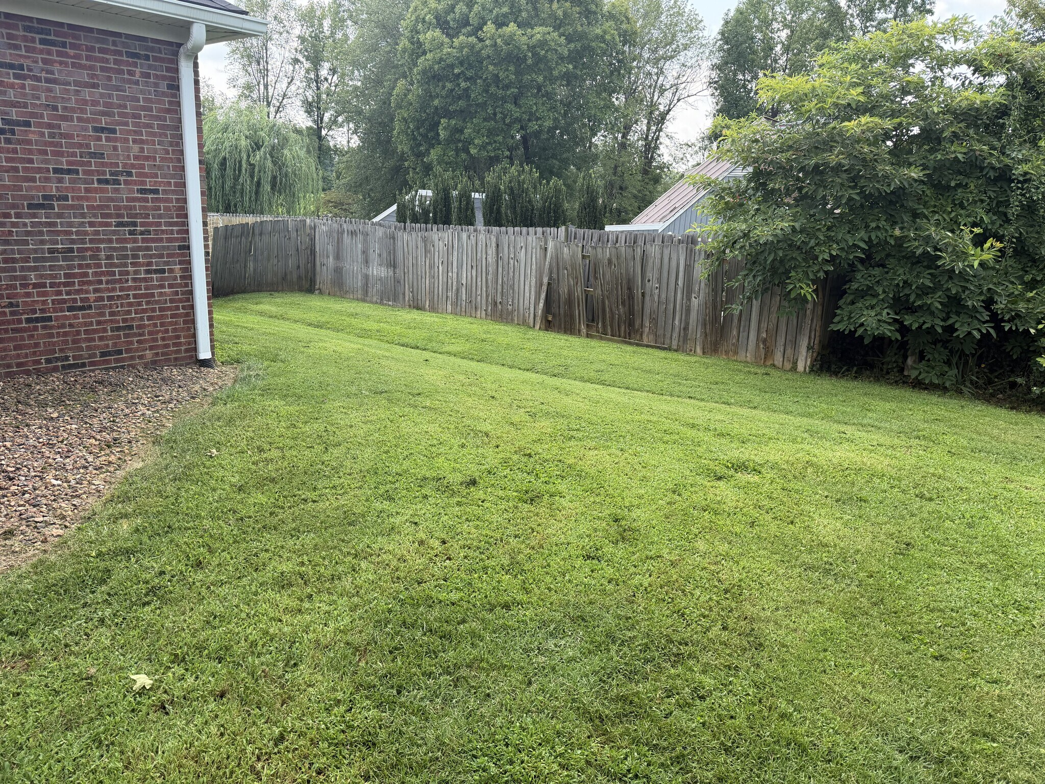 Backyard - 4610 Arborgate Dr